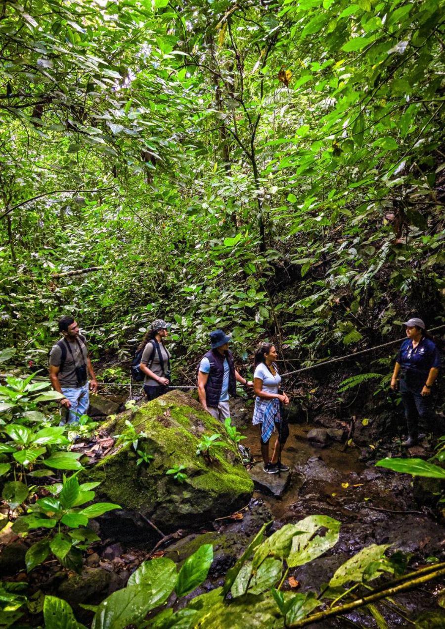 Momarco Forest Cove Tanay Zewnętrze zdjęcie