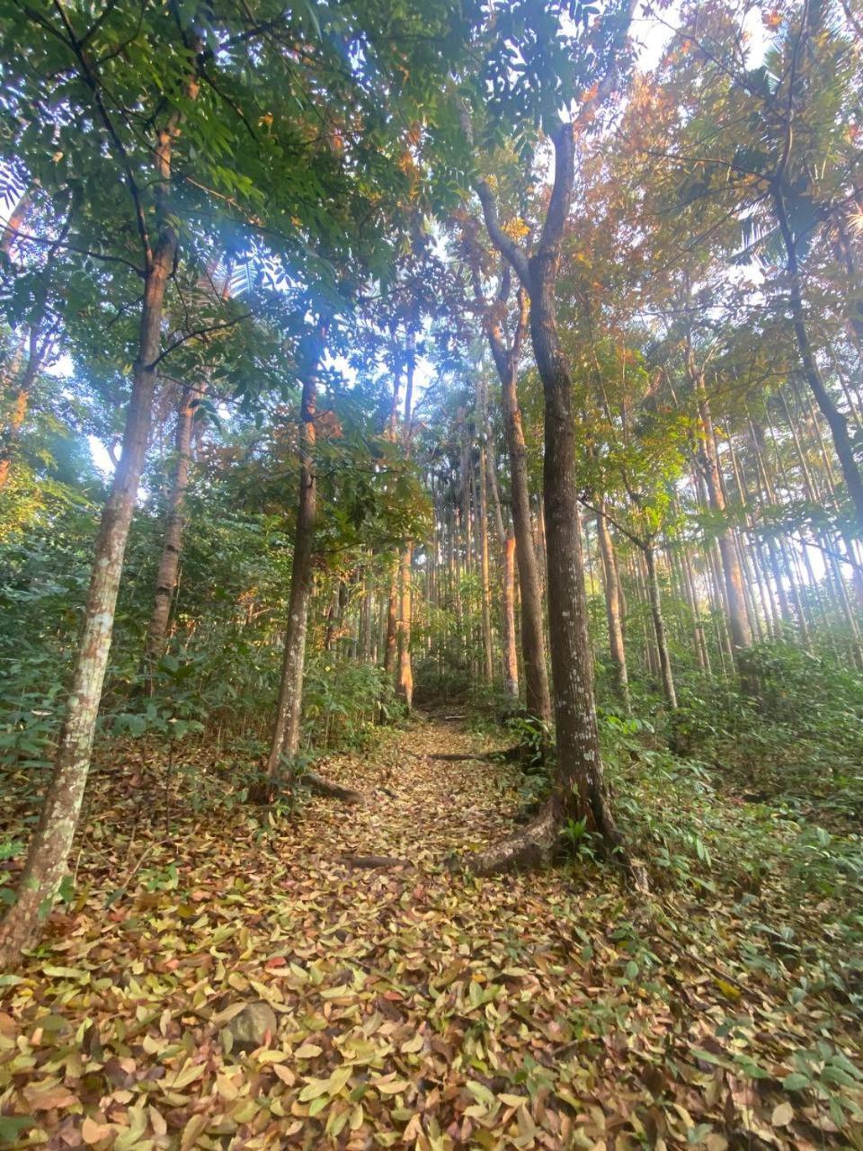 Momarco Forest Cove Tanay Zewnętrze zdjęcie